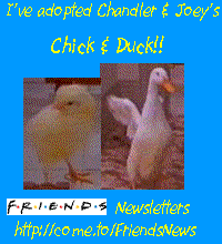 chicduck.gif